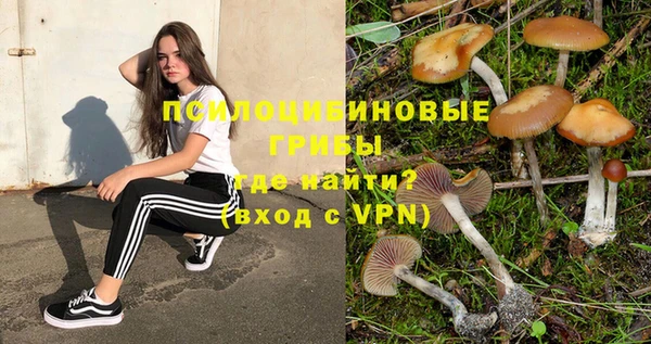 гашик Алзамай