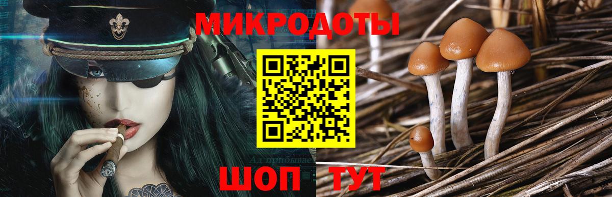 Псилоцибиновые грибы GOLDEN TEACHER  Вход с VPN  Лобня 